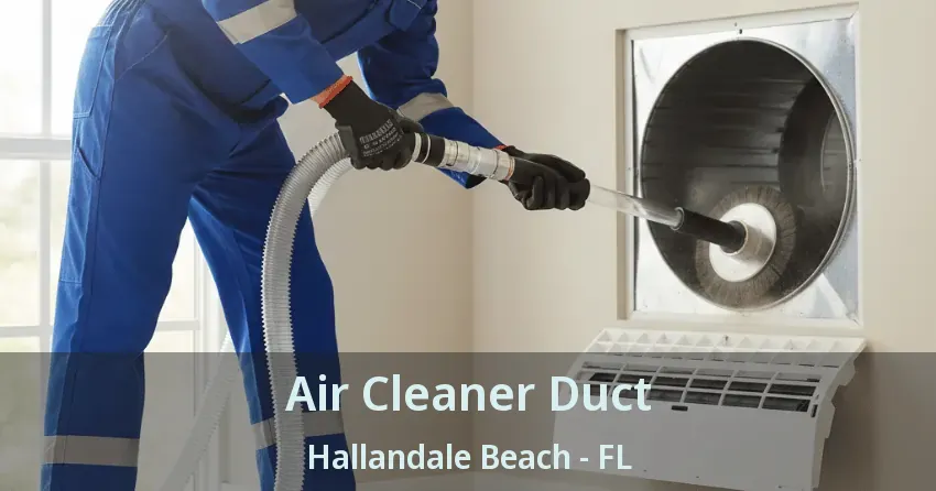 Air Cleaner Duct Hallandale Beach - FL