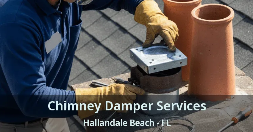 Chimney Damper Services Hallandale Beach - FL