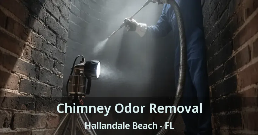 Chimney Odor Removal Hallandale Beach - FL