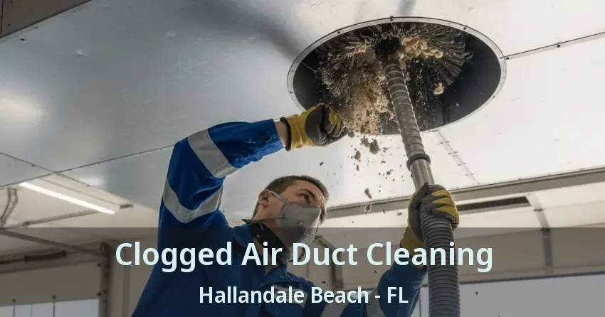 Clogged Air Duct Cleaning Hallandale Beach - FL