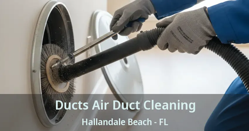 Ducts Air Duct Cleaning Hallandale Beach - FL