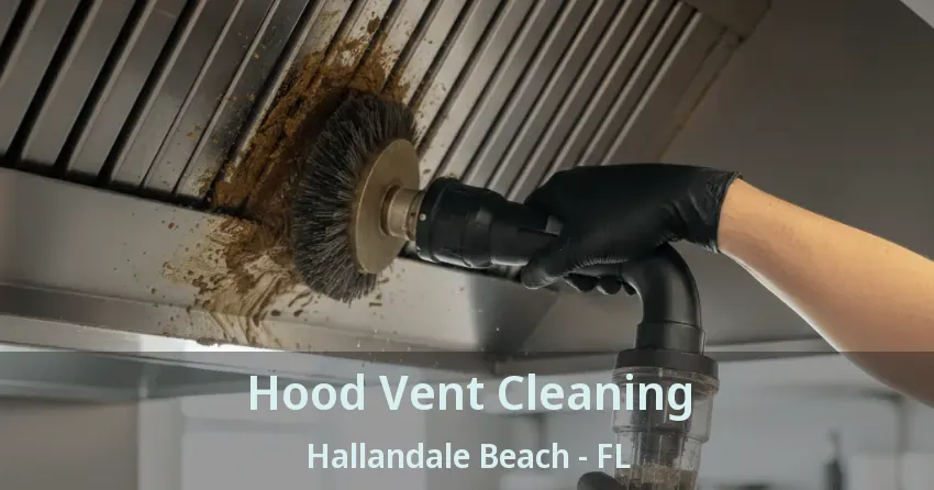 Hood Vent Cleaning Hallandale Beach - FL Hood Vent Cleaning Hallandale Beach - FL