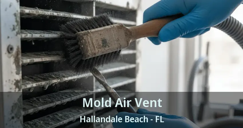 Mold Air Vent Hallandale Beach - FL