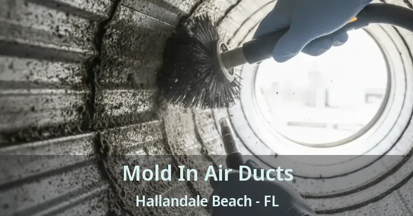 Mold In Air Ducts Hallandale Beach - FL