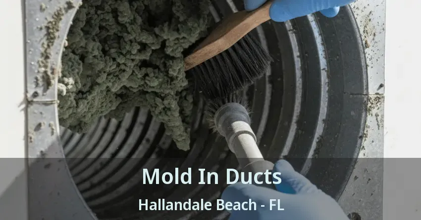 Mold In Ducts Hallandale Beach - FL