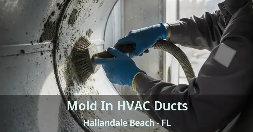 Mold In HVAC Ducts Hallandale Beach - FL
