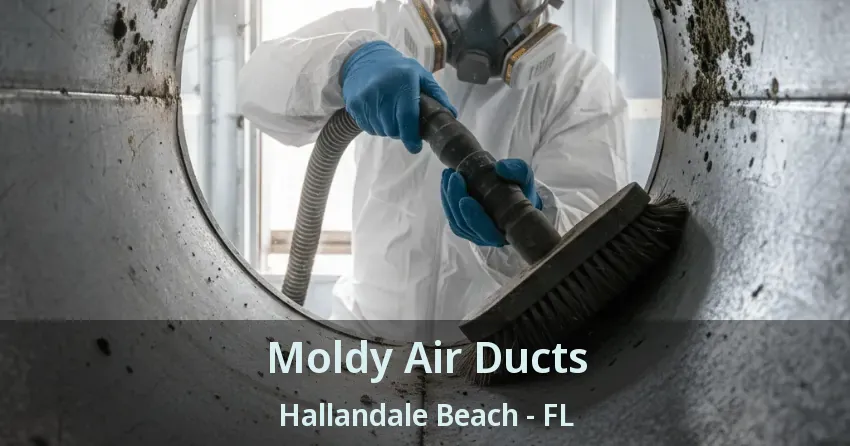 Moldy Air Ducts Hallandale Beach - FL